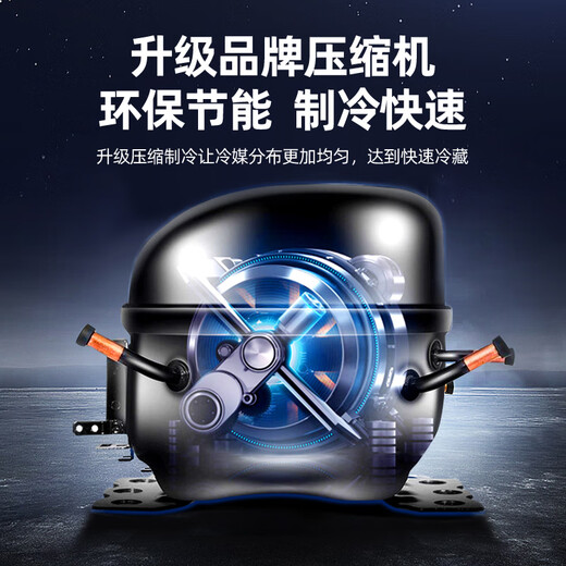 北极熊（BEIJIXIONG）展示柜冷藏柜冰柜商用饮料柜直冷风冷风直冷保鲜柜超市玻璃门冰箱立式啤酒柜 双门下机循环风冷蓝白款（688L）