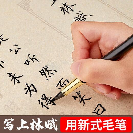 Liupin Academy soft pen fountain pen style brush with refillable ink soft tip brush Langhao portable small regular script calligraphy sutra copying pen small character brush extra fine art pen gift pen brush