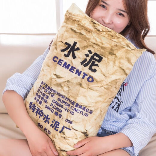 美克杰创意仿真抱枕个性水泥枕头沙发靠垫毛绒玩具礼物搞笑生日礼 水泥 大号50*34厘米(配小鸡腿)