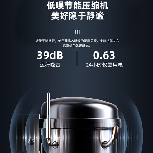 WINDELN Wendell red wine cabinet compressor constant temperature wine cabinet household mini small moisturizing tea cigar storage refrigerator compressor air-cooled wooden shelf 23 bottles