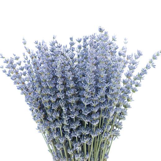 AIMAN dried lavender bouquet living room home decoration natural dried bouquet real flower aromatherapy internet celebrity flower arrangement ins gift 250g British blue half Jin Jin is equal to 0.5kg long style new summer flowers all in English newspaper packaging
