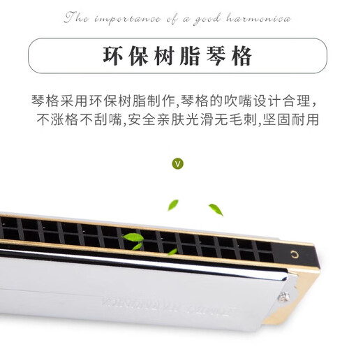 Tongbao Tongbao Harmonische echte 6624S Polyphonische Anfänger C-Tuning High-End-Performance-Aufzeichnung von Artefaktprofessionalinstrument 12-Tuning 24-Loch #F-Tuning (polyphonische 24-Loch)