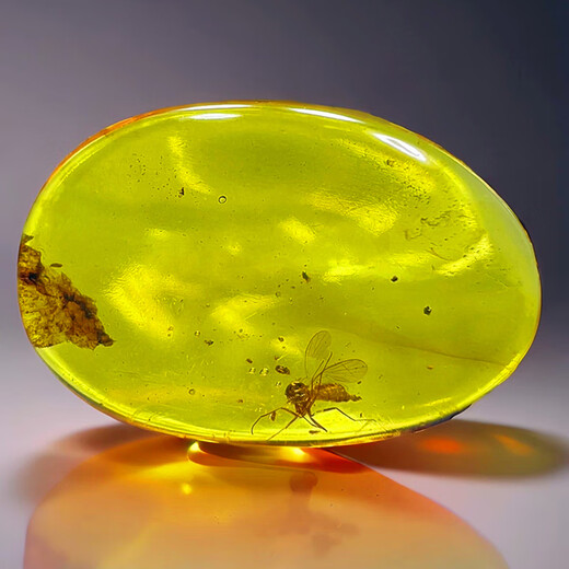 Zi Mian natural Burmese amber raw ore water purified gold blue gold amber blood tea amber water gall plant large insect amber stone ring face pendant No. AF412 Height, width and thickness 18 13 8m