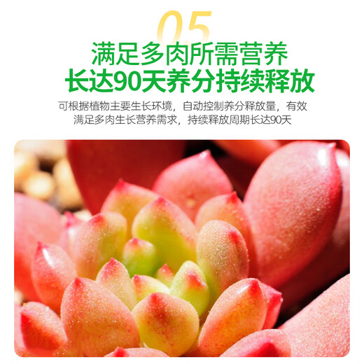 Modified Hualeduo succulent soil special granular soil 70% succulent nutrient soil paving stone seedlings into old piles general type 5Jin Jin equals 0.5 kg