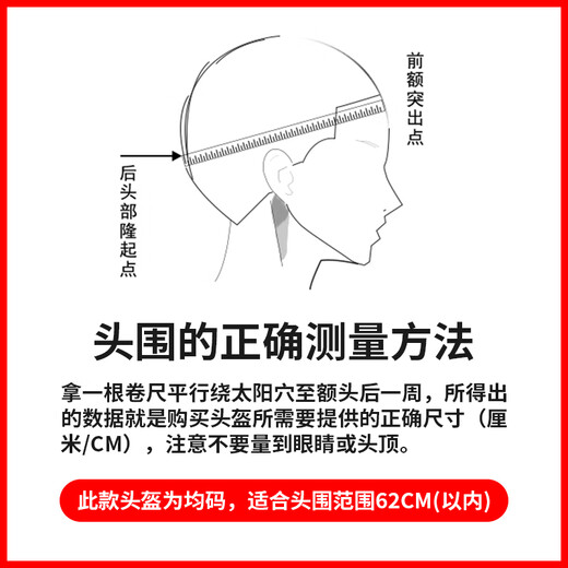 野马（YEMA）3C认证828S摩托车头盔男全盔双镜片机车安全帽 四季通用 均码 松鼠灰+防雾贴片