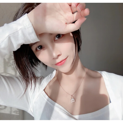 WSAYh necklace 18k gold and silver light luxury H Kangkang bag women's letter pendant 18K rose gold niche network (new style) bag white gold