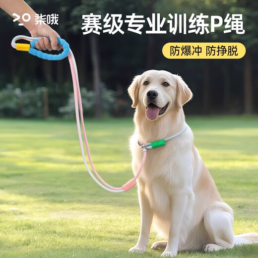 Qi Oh dog leash P rope explosion-proof and anti-breakaway medium and large dogs and small dogs leash collar collar dog walking artifact gradient blue bold - pull out the guarantee