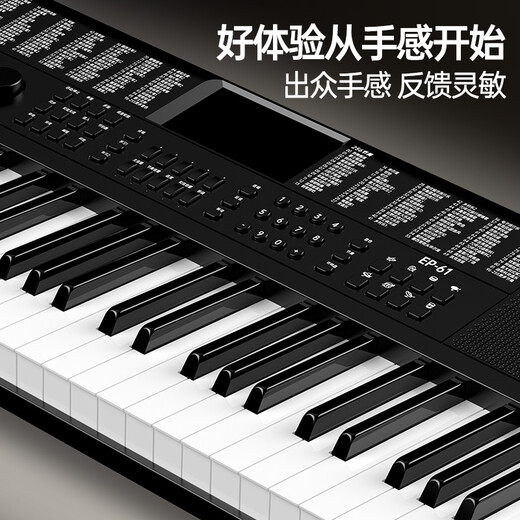 Terence Electronic Piano Erwachsene Kinder 61 Schlüsselanfänger spielen multifunktionale tragbare Musikinstrumente Vatertag Geschenke Kaufen Sie Tausende von Menschen klassisches Schwarz + Luxusgeschenke