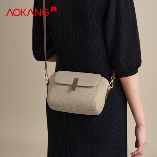 奥康（Aokang）包包女包2025新款轻奢简约时尚百搭斜跨单肩包生日礼物送老婆 大象灰