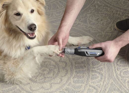 DREMEL DREMEL Pet Electric Nail Grinder Portable Rechargeable Dog Nail Trimmer Tool
