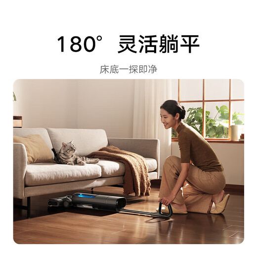 Xiaomi (Mi) Mijia Machine de nettoyage du sol sans fil 3pro Mabinet et épilement