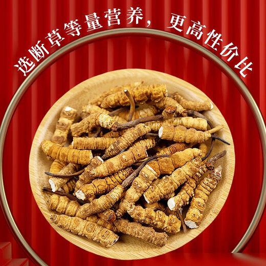 
[Treat the broken grass] Cordyceps sinensis large broken grass authentic Tibetan area broken grass genuine dried goods for self-eating. 10 grams of broken grass at high altitude in Nagqu, Tibet. One gram of broken grass is given in 10 grams of broken grass at high altitude in Nagqu, Tibet.