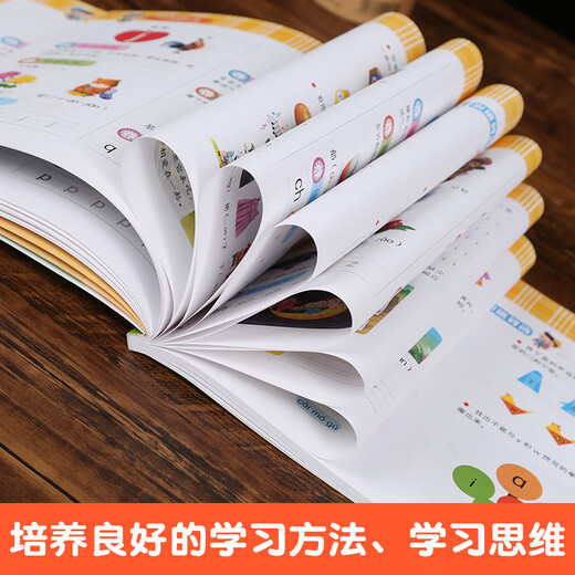 【小羊上山精选】米拉朵小学入学准备全方案680题 全套6册 3-6岁学前班幼小衔接数学语文拼音识字成语思维训练认知书宝宝早教启蒙入学准备教学材料 【入学全方案】拼音680题