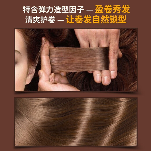 Dicai elastin for women with curly hair, camellia, moisturizing and styling perm, curly hair styling, women's curl-protecting elastin 300g*3 bottles