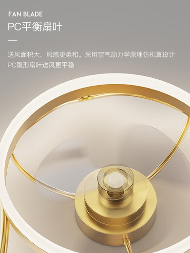 XMSJ风扇灯吊扇灯主卧室房间吸顶灯2024年新款餐厅电扇带灯具广东中山 12033金色50CM无极+摇头