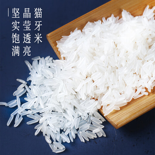 Rice frog 2024 new rice, cat tooth rice, long grain fragrant rice 10kg, indica rice, southern silk seedling rice, new rice in season 20Jin Jin is equal to 0.5kg