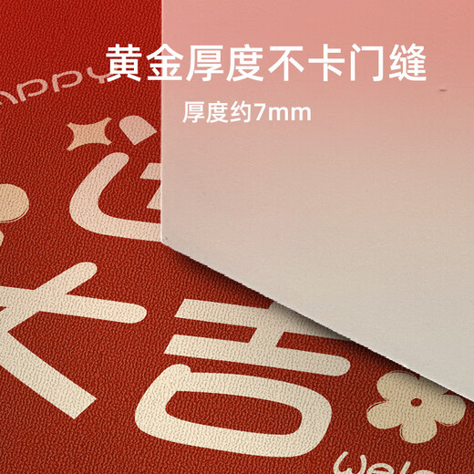 Gudie Entrance Door Mat 2023 New Style Housewarming New Home New House Moving Red Foot Mat Door Mat Entrance Flowers Entering the House Good Luck 40x60cm Buy One Get One Free