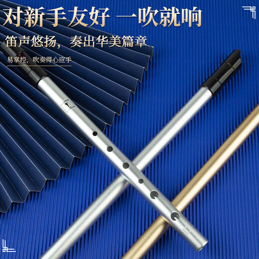杉贝爱尔兰哨笛C调D调笛子儿童初学者高音直笛竖笛六孔乐器 演奏款D调银色+丰富