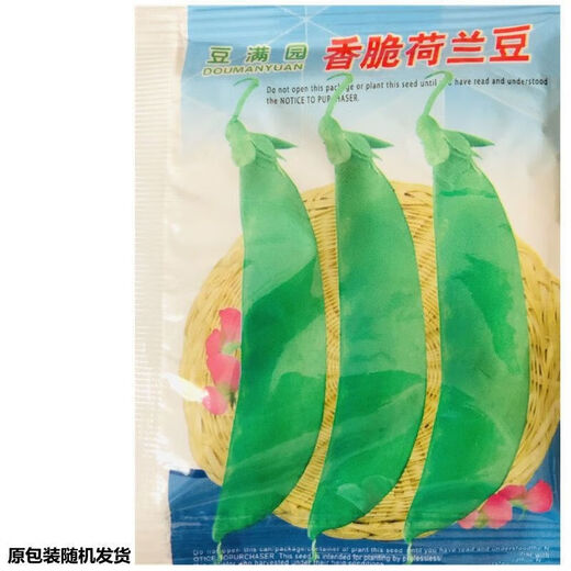 Roselle-Samen, rote Pfirsich-K-Samen, Sesamhonig, große Zuckerschoten, 9-Zoll-Ginseng, süße Senfkörner, original große Zuckerschotensamen, 100 Kapseln, 2 Packungen