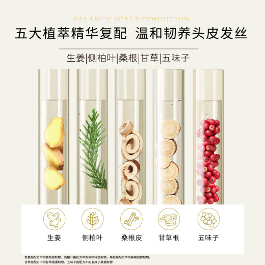 Ziyuan Jengibre Prevención del cabello Conjunto de champú Orchidaceae Leaf sin silicona Fuerte 535ml+200ml*2+60ml*2 Dry medio