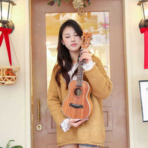 
Andrew Ukulele Beginners for Women, Men and Children's Beginners Small Guitar Musical Instruments Children's Day Gift 23 Inch [Vector Board] Log Wood Color