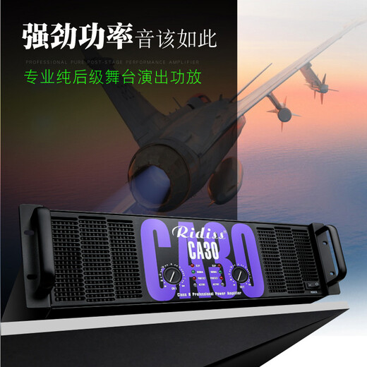 Ridiss professional power amplifier CA series dual-channel high-power professional audio stage sound performance engineering home KTV pure power amplifier CA9 800W2