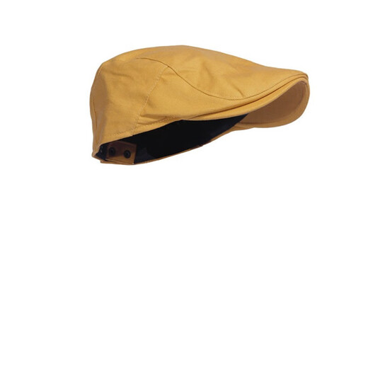 Specht Sommer Baumwolle Feste Farbe Basken Bassplatte Weiches Top Casual Newspaper Hut Retro Literary Fronthut Maler Hut Männer Kamel Camel Verstellbar