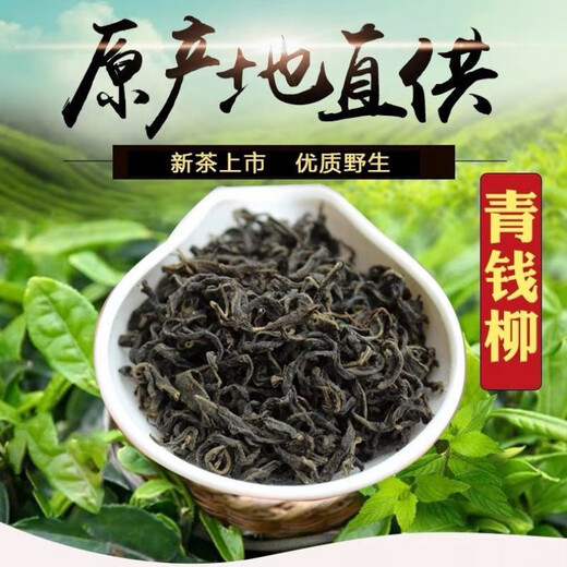 精选级青钱柳嫩茶叶正宗张家界野生金钱柳茶叶原叶古树养生茶 青钱柳茶嫩芽(特级嫩芽) 100g