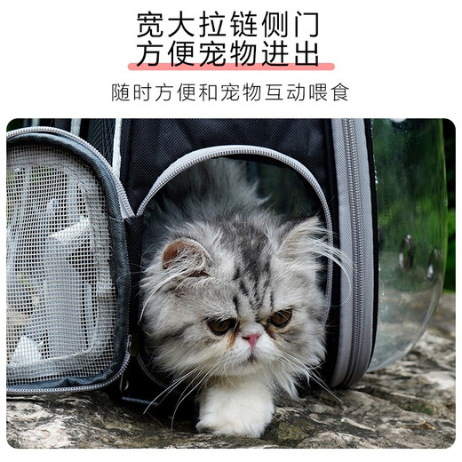 Dudu Sbao Cat Bag Outing для перевозки сумки для воздухопроницаемой пропускной способности.