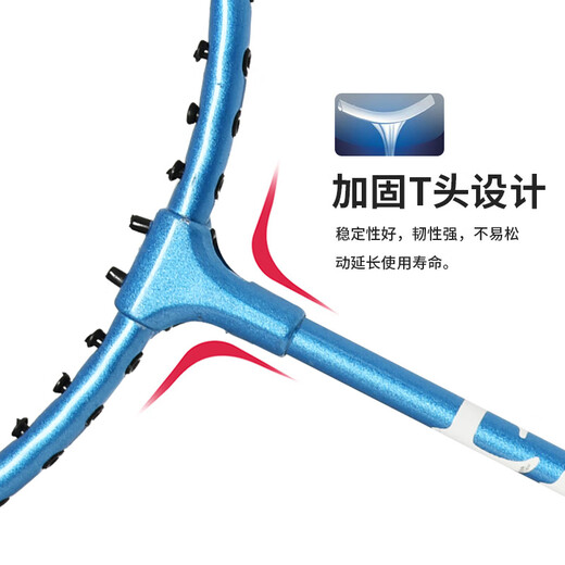 ENPEX乐士羽毛球拍双拍 耐打型学生成人对拍 ART-50  附101-3羽毛球