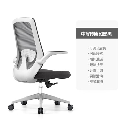 Faguo 674 Chaise ergonomique chaise d'ordinateur à la maison Étudiant écriture écriture chaise de bureau de bureau de bureau gris cadre Phantom noir [pas de tête-tête]