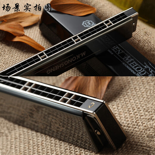 Hokong Harmonica 24-луночная полифоническая #A/B/C/D/E/F/G Harmonica Beginters 'Adult Professional Professional Уровень C Tune C Tune