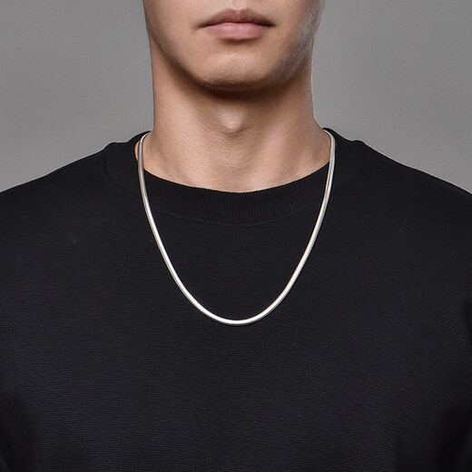 IDEAGEMER Snake Bone Chain Necklace Men's Fashion Trend Exquisite Personality Handsome and Versatile European and American Style Men's Plain Chain Clavicle Chain Fashion Snake Bone Chain-50CM