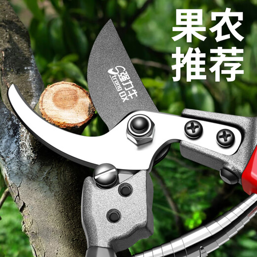 Powerful cattle pruning scissors, special pruning shears, pruning shears, fruit tree pruning scissors, labor-saving pruning shears, gardening flower branch pruning tools, fruit farmers recommend golden pruning shears + folding saw