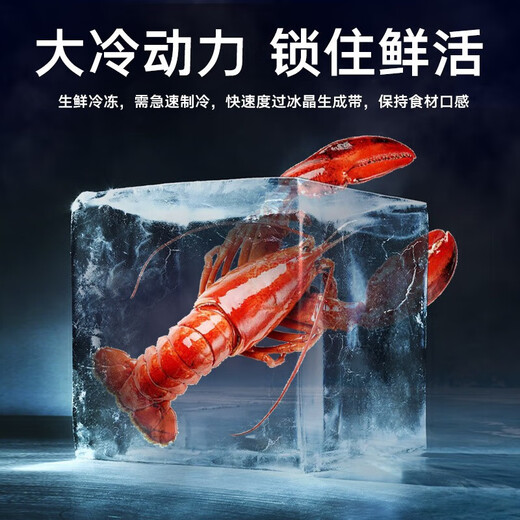 奥克斯小冰柜家用省电保鲜冷冻冰柜 商用节能迷你小型卧式冷柜 储母乳柜冰箱 【国补】128升级减霜款|可囤60斤肉 28L