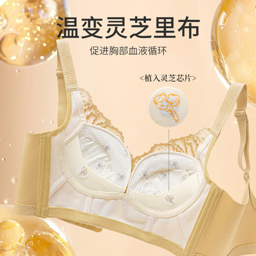 FR.YH.ZH中脉内衣金绷带精油蕾丝显大防下垂聚拢调整型女刺绣内衣9717 香槟色 40 /90 ABC通杯