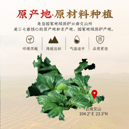 
Jinqi [Sanqi Powder] Jinqi brand full-plant fresh Sanqi essence powder ultrafine powder solid drinks to give parents a good health gift 1 box
