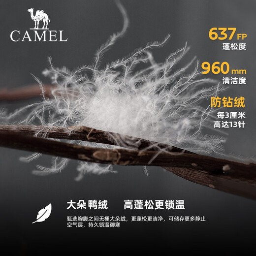 CAMEL [Little Sun-Graphene] Outdoor Down Jacket for Men and Women Thickened Warm Bread Jacket A33CAPN163