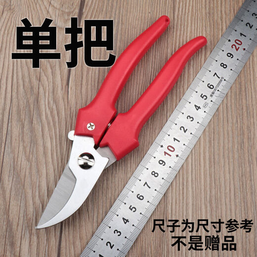 
Pruning scissors grape picking scissors garden fruit tree scissors thick branches flower scissors labor-saving branches flower scissors to prune flowers Boxing Xinnong H De14116 high-end straight scissors