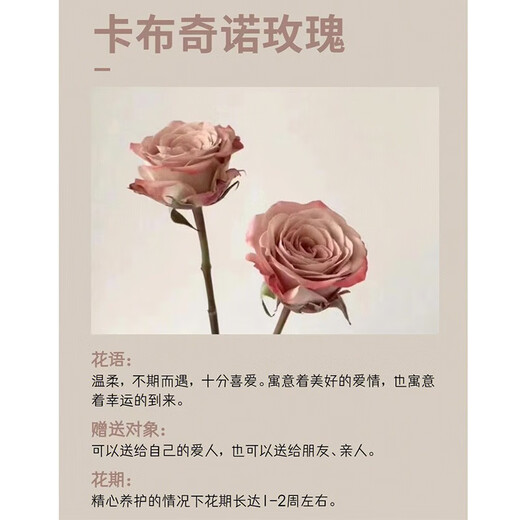 Flower love cappuccino rose bouquet delivered in the same city for friends, besties, wives and girlfriends birthday confession gifts. Gentle to you. Cappuccino chocolate bubble bouquet. Delivered in the same city. Support appointment date.