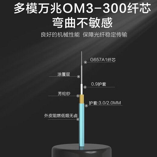 HAINAI LC / FC / SC / ST Multi-mode à double core 10 Gigabit OM3-300 Fibre Câble de fibre de queue A-Grade Cerramic Personnalisable Room IDC 10G LC-LC Multi-model 10 gigabit OM3 30 mètres