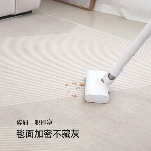 Stopp-Teppich Wohnzimmer 2024 Neues leichter Luxus-High-End-Sofa-Bodenmatte ohne Waschen und löschbares Haushalt wasserdichtes Schlafzimmer Dicke Tianjin Qingqiang-10283 140 cm*200 cm [umweltfreundlich und geruchlos]