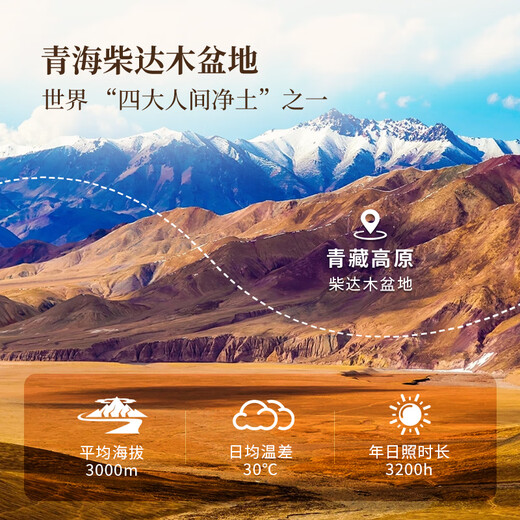 Tongrentang (TRT) Black Wolfberry Authentic Qinghai Qaidam Comida instantánea sin lavar el cabello Té de salud de frutas grandes para ancianos 70G/Can