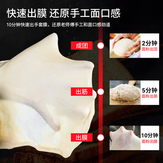 FEST商用和面机全自动揉面机双速双动打面机大容量电动拌面机活面粉包子馒头披萨变频搅拌机 20升【10-20斤和面量】带定时标准款