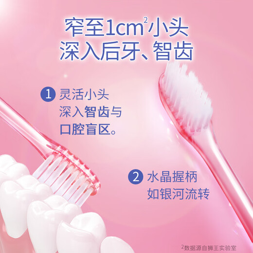 狮王（Lion）细齿洁0.01晶彩牙刷2支软毛小巧刷头细致护龈呵护口腔家庭装