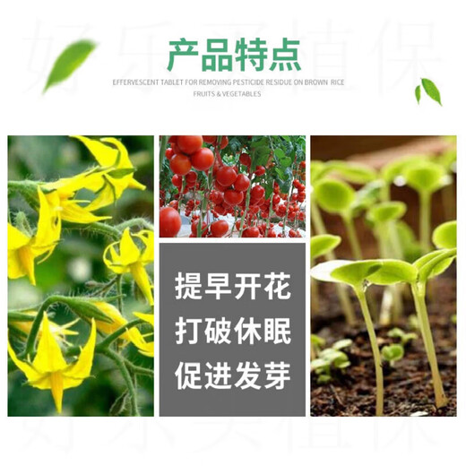 Aiduo Recovery Sodium Nitrophenolate Tomato Flower and Fruit Coloring Promotes Flowering, Budding and Rooting Antidote for Pesticides and Plant Growth Regulator 50ml (10 Bottles)