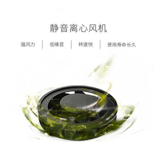 LUFTRUM Swedish Ruiji car air purifier dual-purpose formaldehyde smoke odor PM2.5 haze C20 dark blue