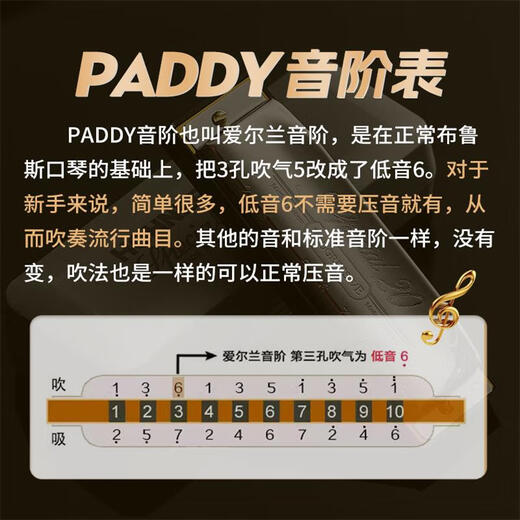 HOHNER口琴和来进口SP20布鲁斯PADDY调音10十孔口琴成人初学通用