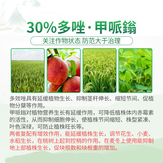 Guoguang Jinmeirui 30% polybutrazole, plant dwarfing agent, paclobutrazol, Ophiopogon japonicus, inhibiting agricultural growth regulator 1000g*5 bottles