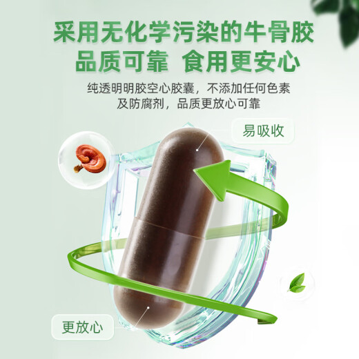 仙芝楼 有机破壁灵芝孢子粉胶囊0.25g*80粒/盒*6盒  增强免疫 滋补保健